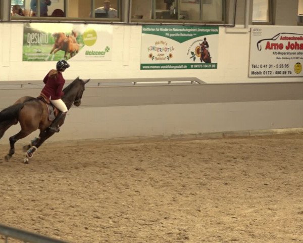 Reitturnier Luhmühlen 2022