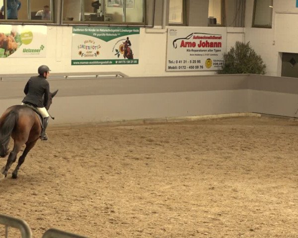 Reitturnier Luhmühlen 2022