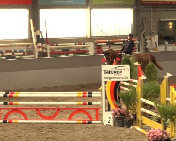 Reitturnier Luhmühlen 2022