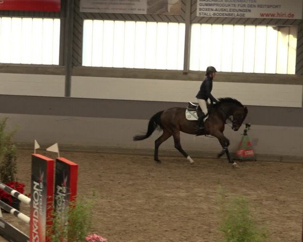 Reitturnier Luhmühlen 2022