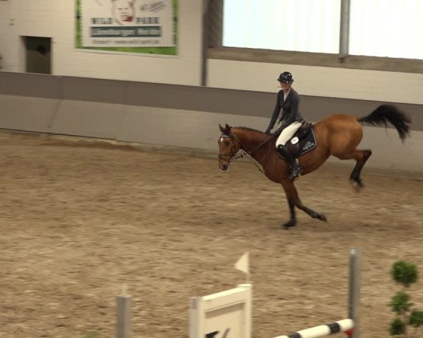 Reitturnier Luhmühlen 2022
