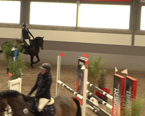 Reitturnier Luhmühlen 2022