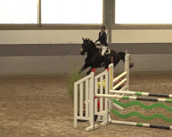 Reitturnier Luhmühlen 2022