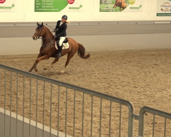 Reitturnier Luhmühlen 2022