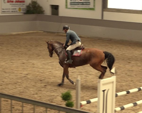 Reitturnier Luhmühlen 2022