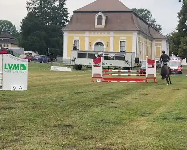 Video von Diarino 2