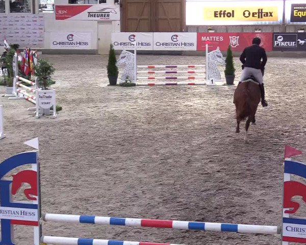 3. Nordic Jumping event Negernbötel 2022