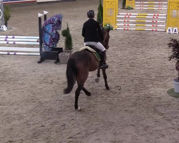3. Nordic Jumping event Negernbötel 2022