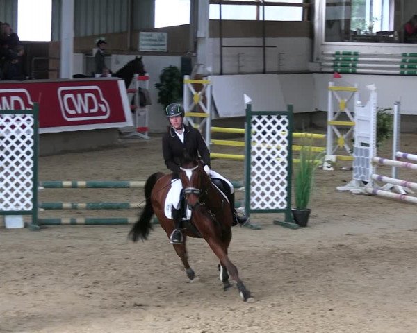 Reitturnier Marl 2022