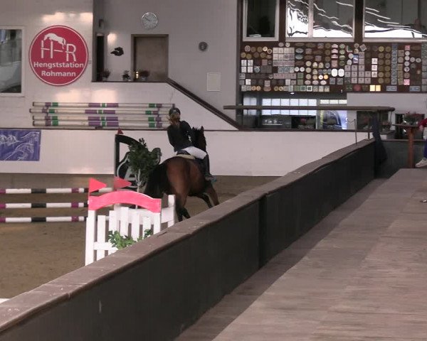 Reitturnier Marl 2022