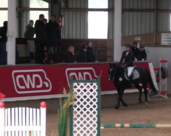 Reitturnier Marl 2022