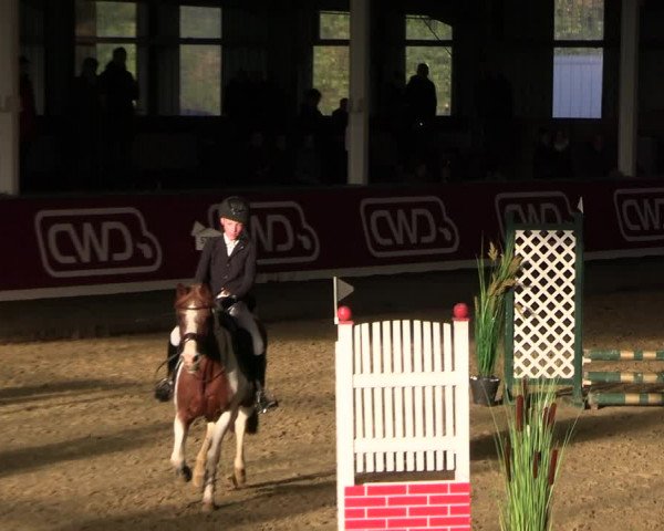 Reitturnier Marl 2022