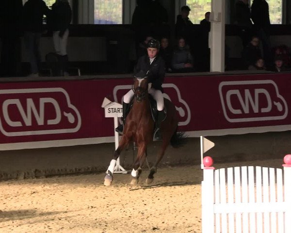 Reitturnier Marl 2022