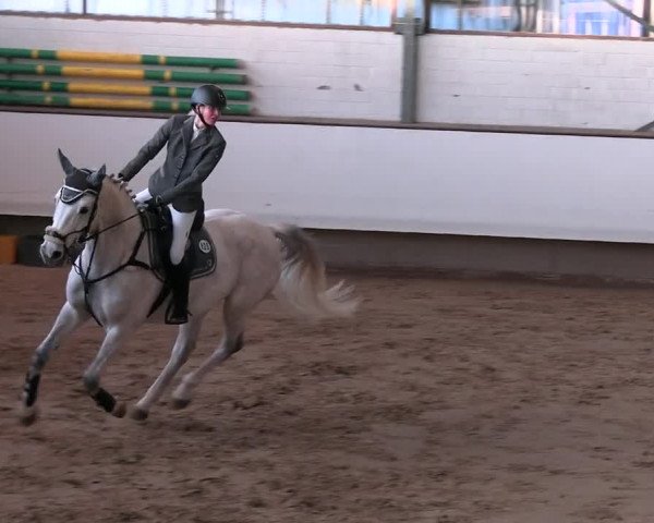 Reitturnier Marl 2022