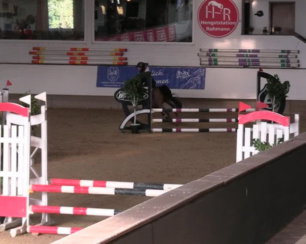 Reitturnier Marl 2022