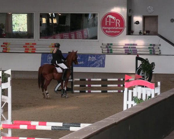 Reitturnier Marl 2022