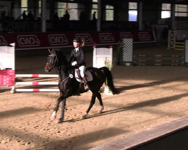 Reitturnier Marl 2022