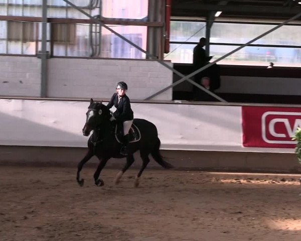 Reitturnier Marl 2022
