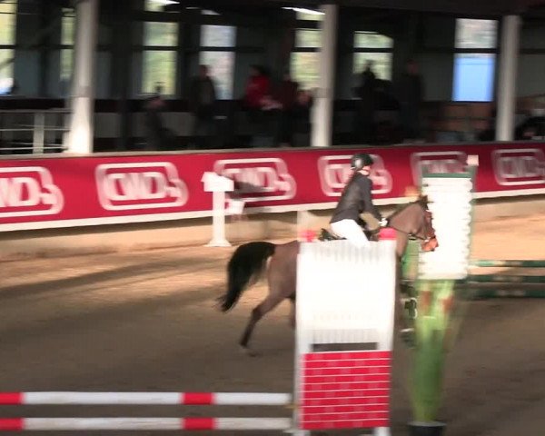 Reitturnier Marl 2022