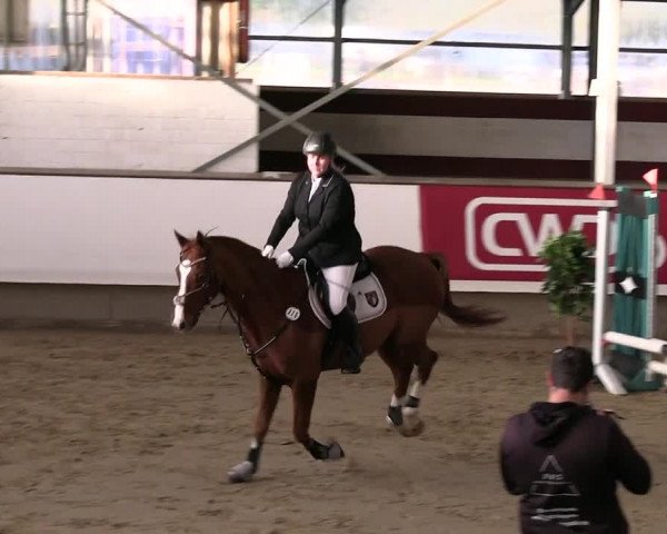 Reitturnier Marl 2022