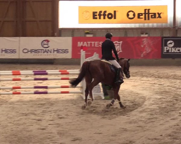 3. Nordic Jumping event Negernbötel 2022