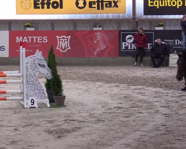 3. Nordic Jumping event Negernbötel 2022