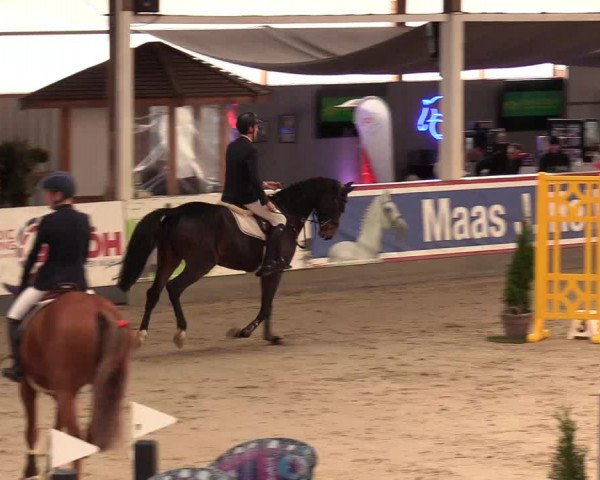 3. Nordic Jumping event Negernbötel 2022