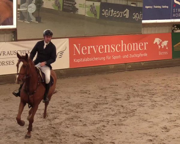 3. Nordic Jumping event Negernbötel 2022