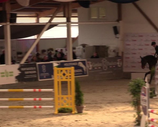 3. Nordic Jumping event Negernbötel 2022