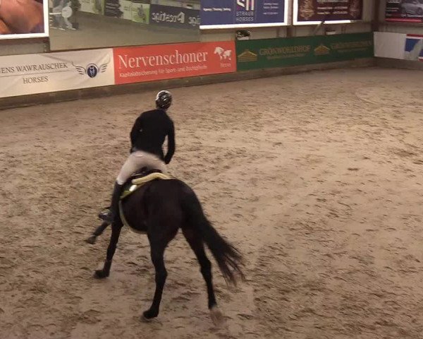 3. Nordic Jumping event Negernbötel 2022