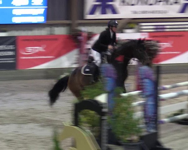 3. Nordic Jumping event Negernbötel 2022