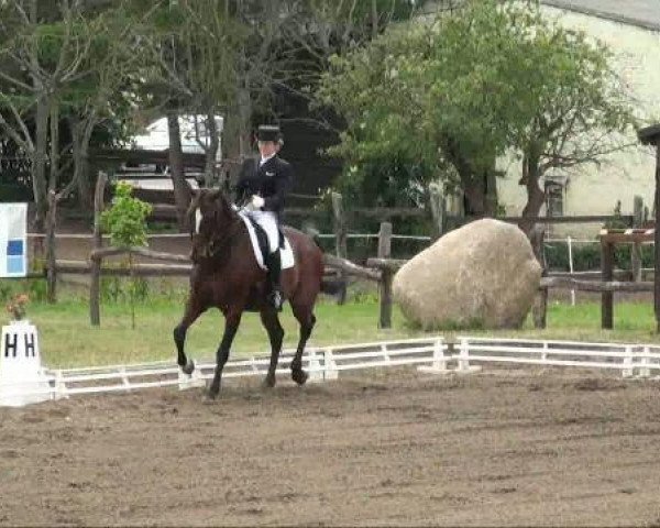 horse Astor 212 (Hanoverian, 1993, from Archipel)