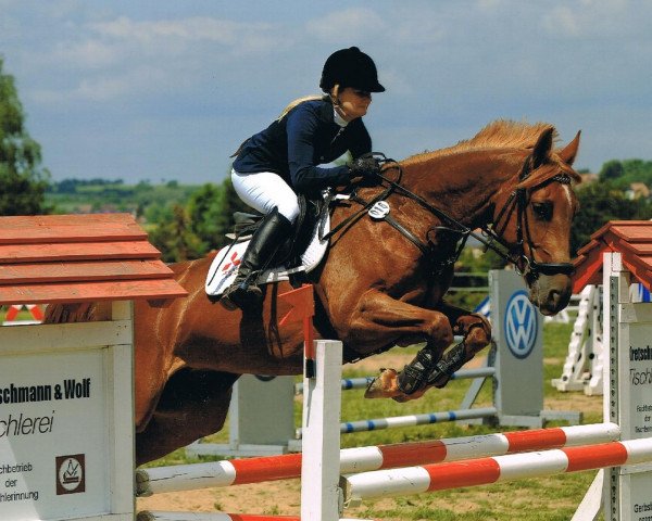 horse Baloumee Z (Zangersheide riding horse, 2007, from Baloubet du Rouet)
