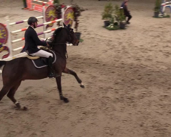 3. Nordic Jumping event Negernbötel 2022