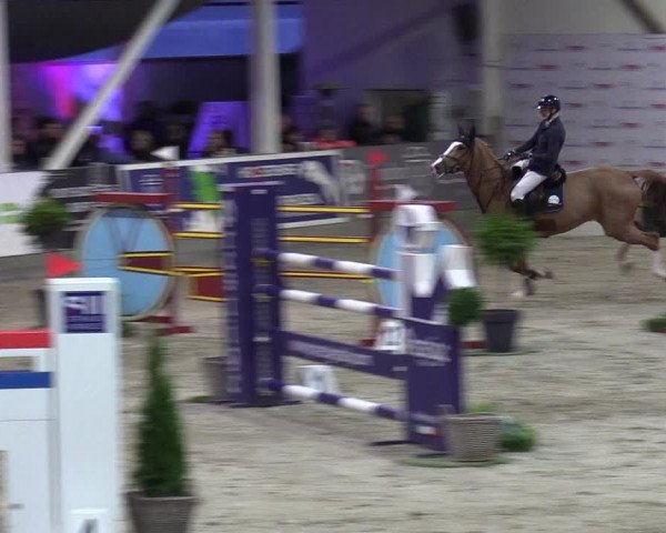 3. Nordic Jumping event Negernbötel 2022