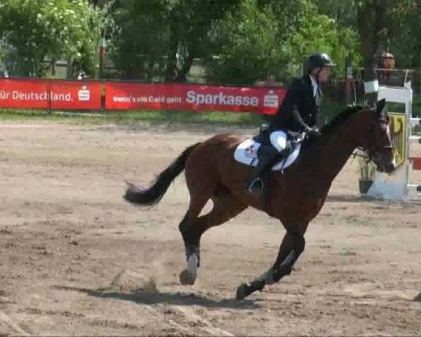 broodmare Luna-Laureen (Saxony-Anhaltiner, 2001, from Lesotho)