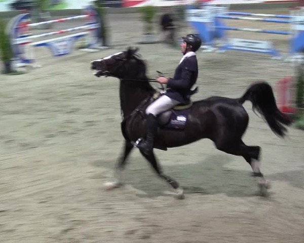 3. Nordic Jumping event Negernbötel 2022