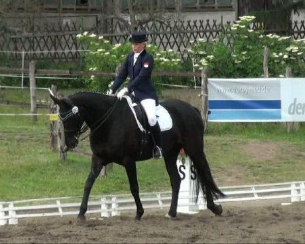 Pferd Wilmalena (Hannoveraner, 2004, von Worldly I)