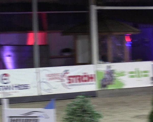 3. Nordic Jumping event Negernbötel 2022