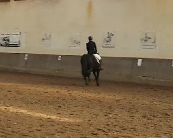 Video of Henriette D