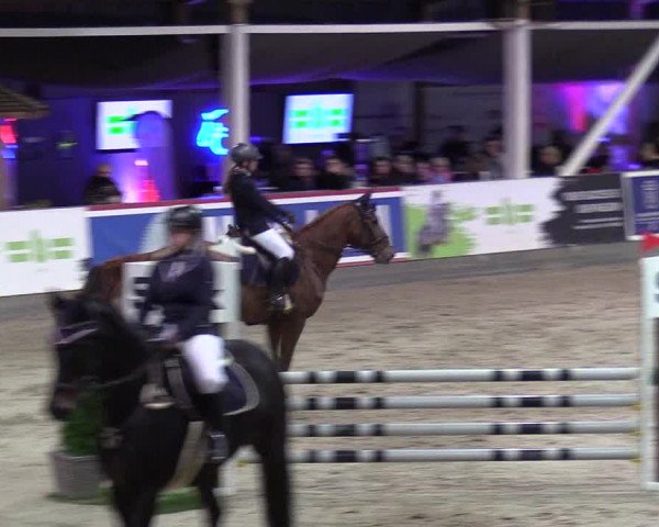 3. Nordic Jumping event Negernbötel 2022