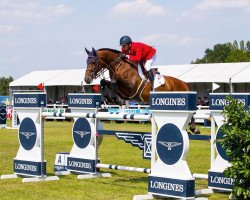 stallion Canstakko (Hanoverian, 2005, from Canturo)