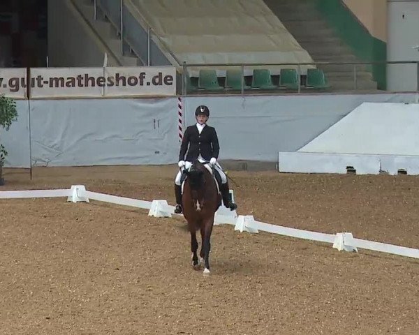 Reitturnier Kreuth/Opf. 2022