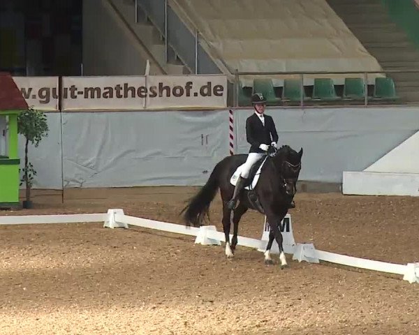 Reitturnier Kreuth/Opf. 2022