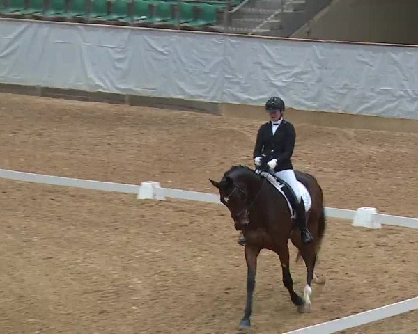 Reitturnier Kreuth/Opf. 2022