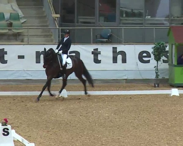 Reitturnier Kreuth/Opf. 2022