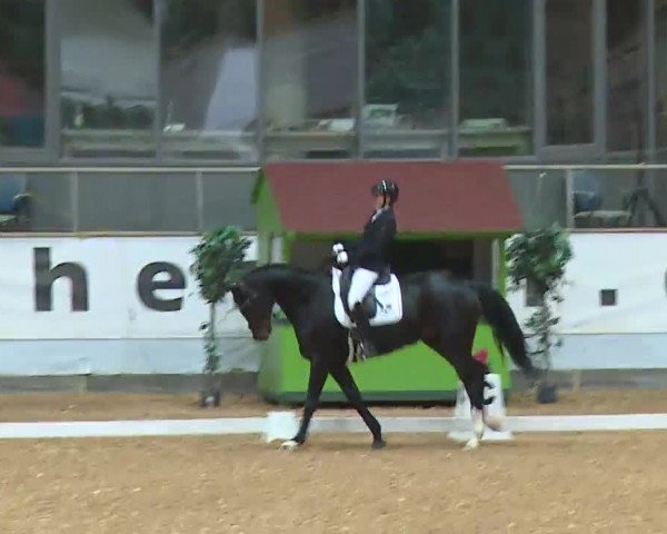 Reitturnier Kreuth/Opf. 2022