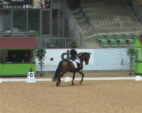 Reitturnier Kreuth/Opf. 2022
