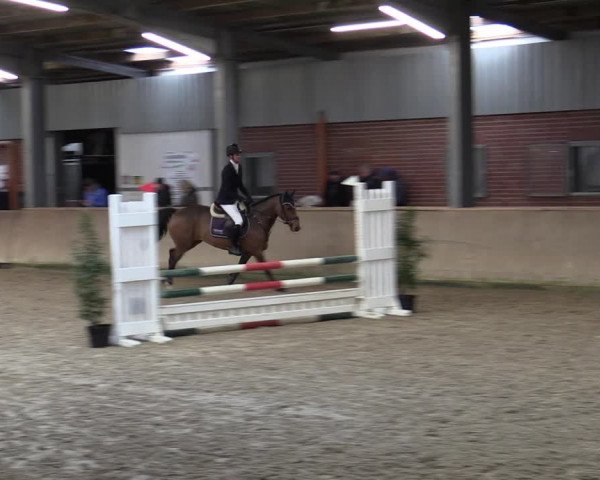 Reitturnier Ahaus 2022