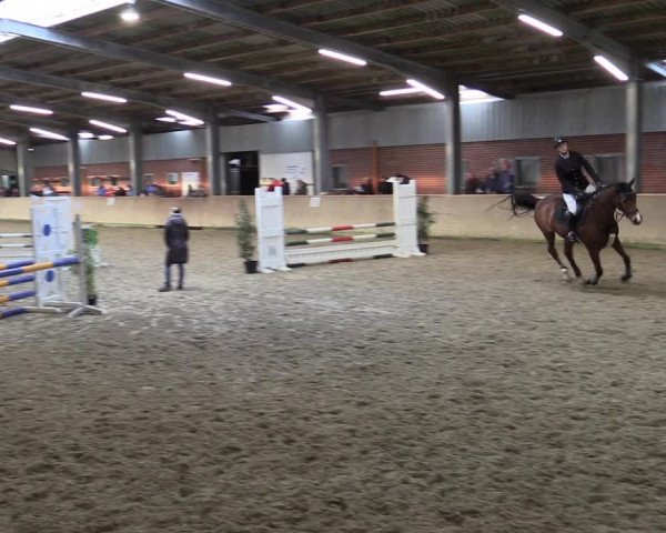 Reitturnier Ahaus 2022